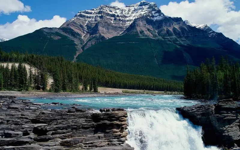创意环保独特